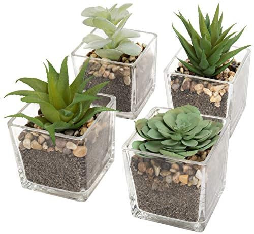 MyGift Assorted Artificial Echeveria Succulent Plants in Square Clear Glass Pots, Set of 4 | Amazon (US)