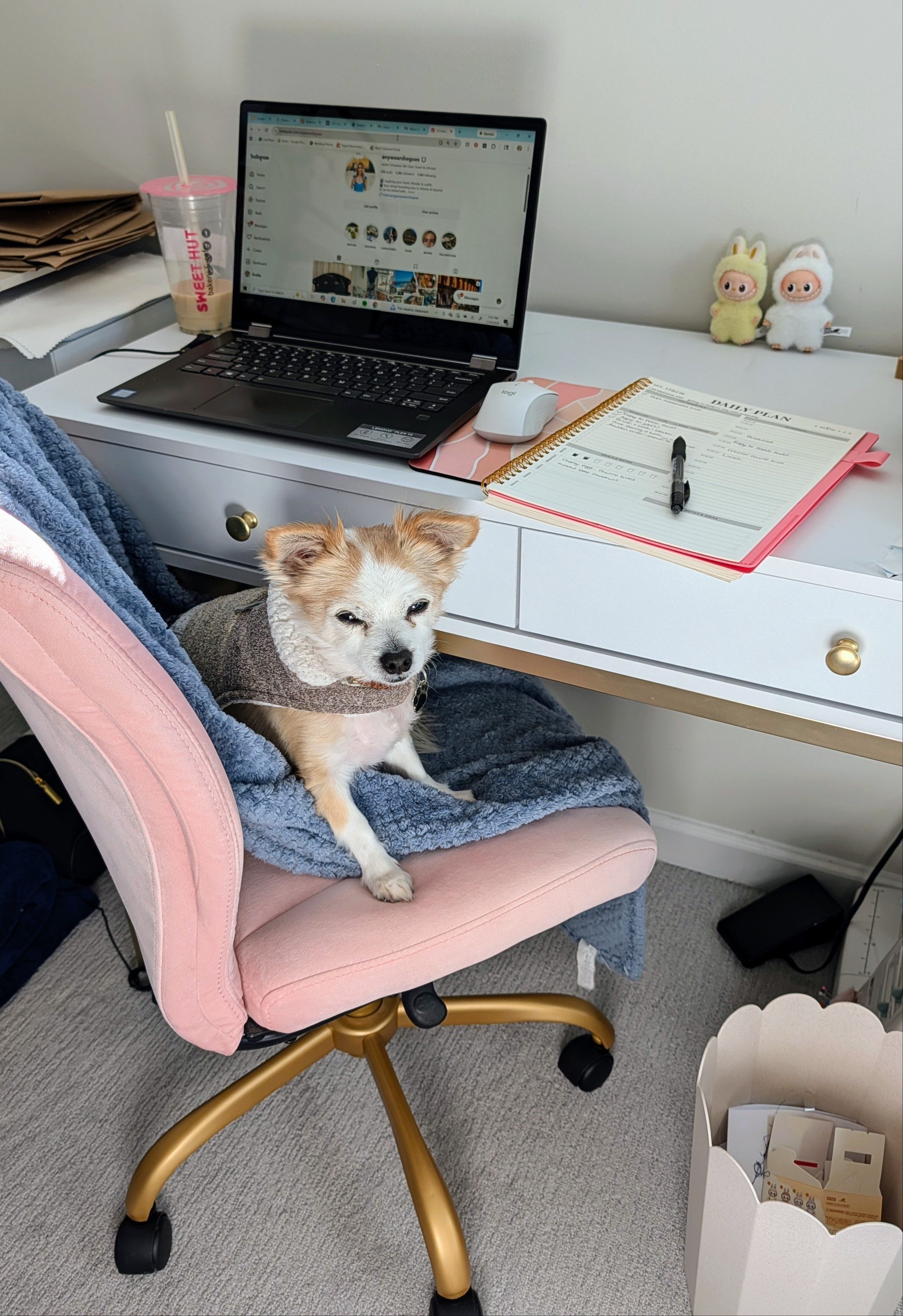 The best work buddy. 🐾 Home office decor and essentials. White and gold desk, pink velvet chair, cozy blanket, daily planner and labubu friends.

#LTKdayinmylife #LTKHome #LTKSaleAlert