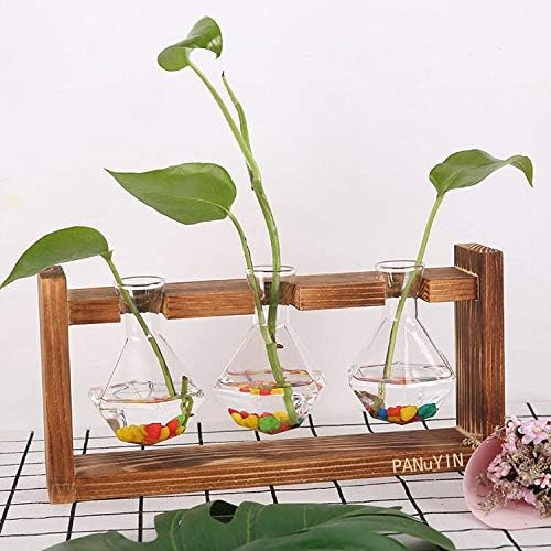 PANuYIN Modern Triple Balls Desk Vase | Hydroponics Plant Glass | Terrarium Vase Container | Planter | Amazon (US)