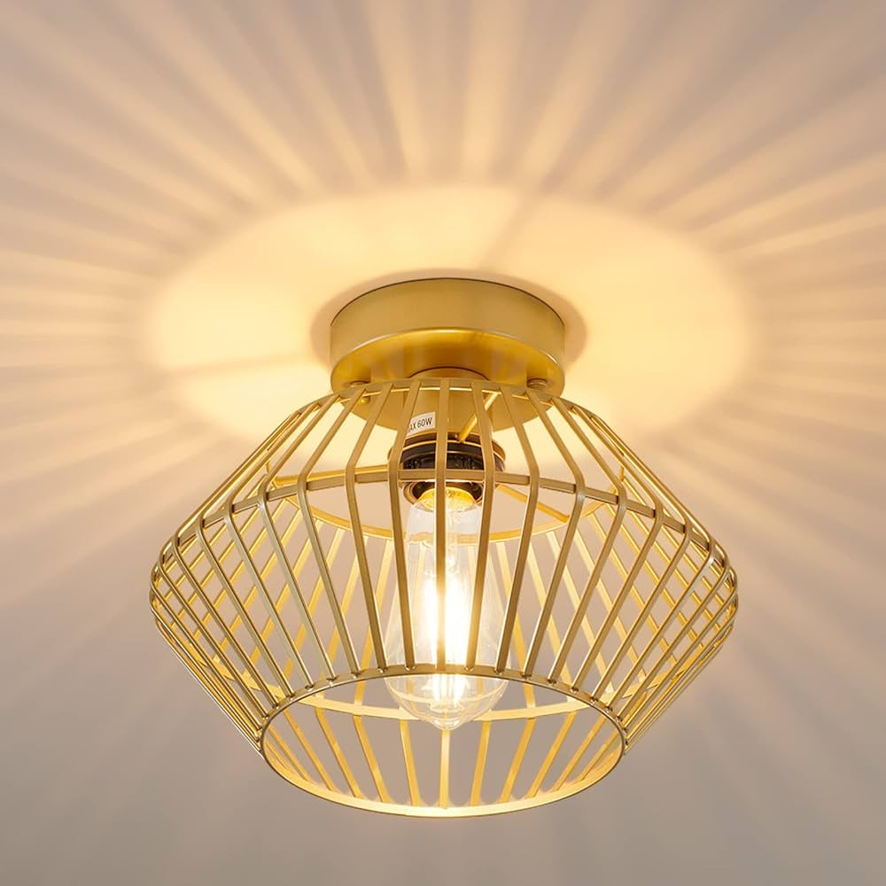 SGLfarmty Modern Gold Flush Mount Ceiling Light, Metal Cage Ceiling Light Fixture, Vintage Flush ... | Amazon (US)