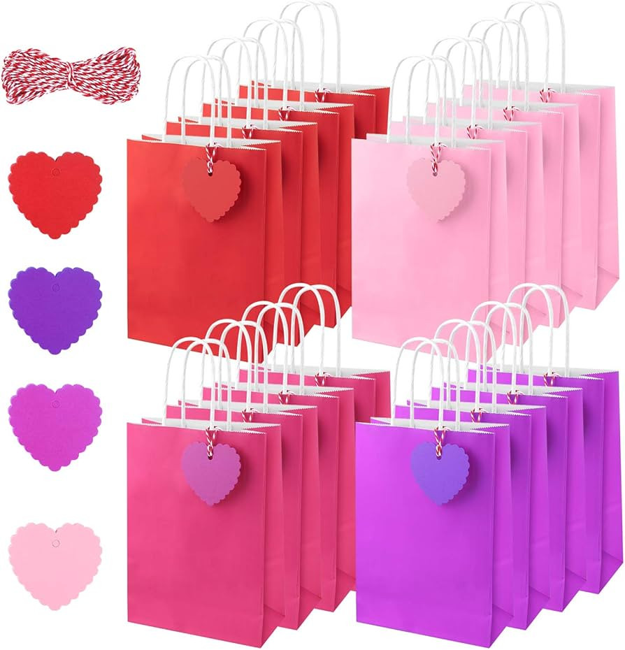 FEPITO 16PCS Red and Pink Gift Bags Paper Bags Gift Kraft Bags Paper Gift Bags Party Bags with Ha... | Amazon (US)