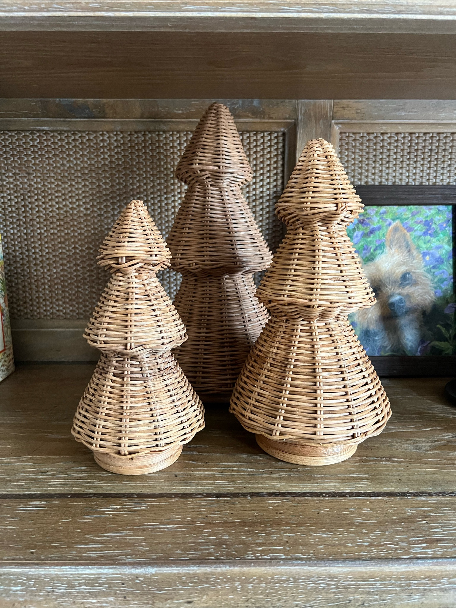 Target are you kidding me with these wicker trees!? So cute  

#LTKFindsUnder50 #LTKHoliday #LTKSeasonal