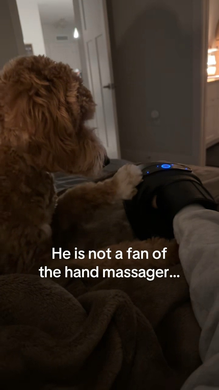 Hand massager turned on and he immediately entered investigation mode 😅 

#LTKmomlife #LTKdayinmylife #LTKselfcare