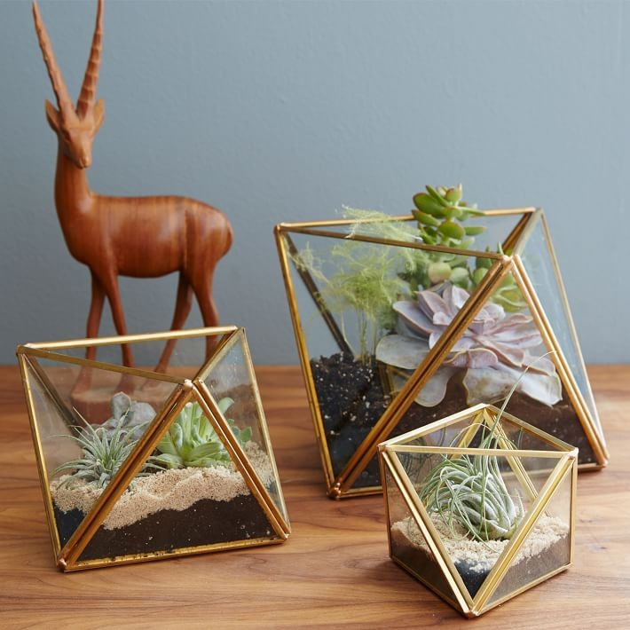 Glass + Metal Faceted Terrariums | West Elm (US)