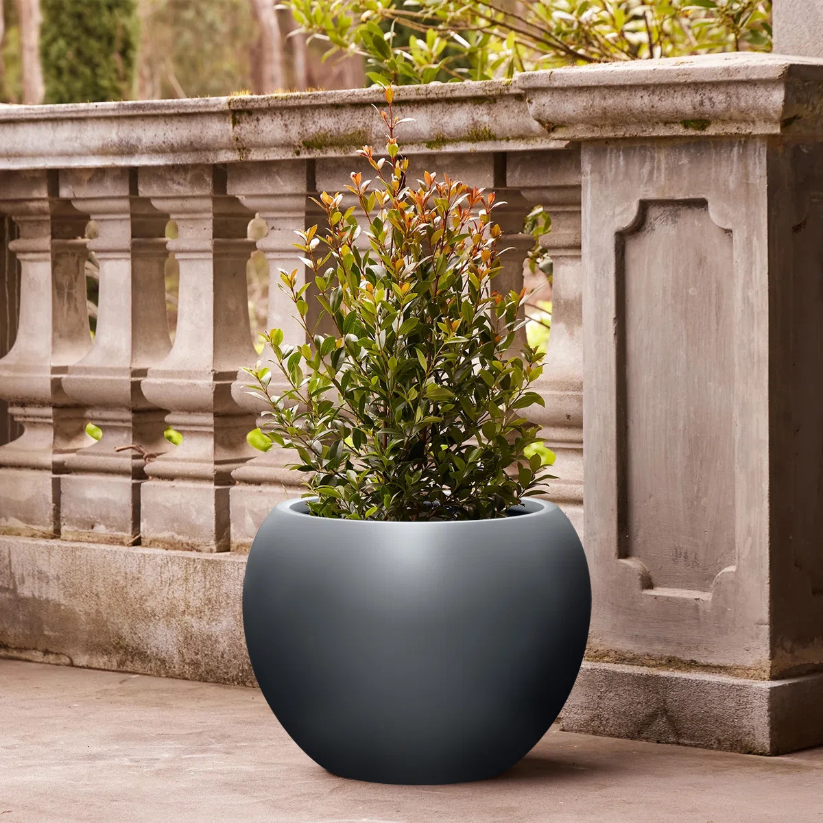 Dorlis Fiberstone Pot Planter | Wayfair North America