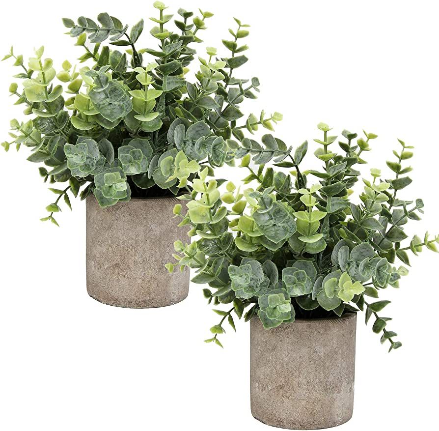 Flojery Mini Potted Plants Artificial Eucalyptus Boxwood Rosemary Faux Herbs Small House Plants 8... | Amazon (US)