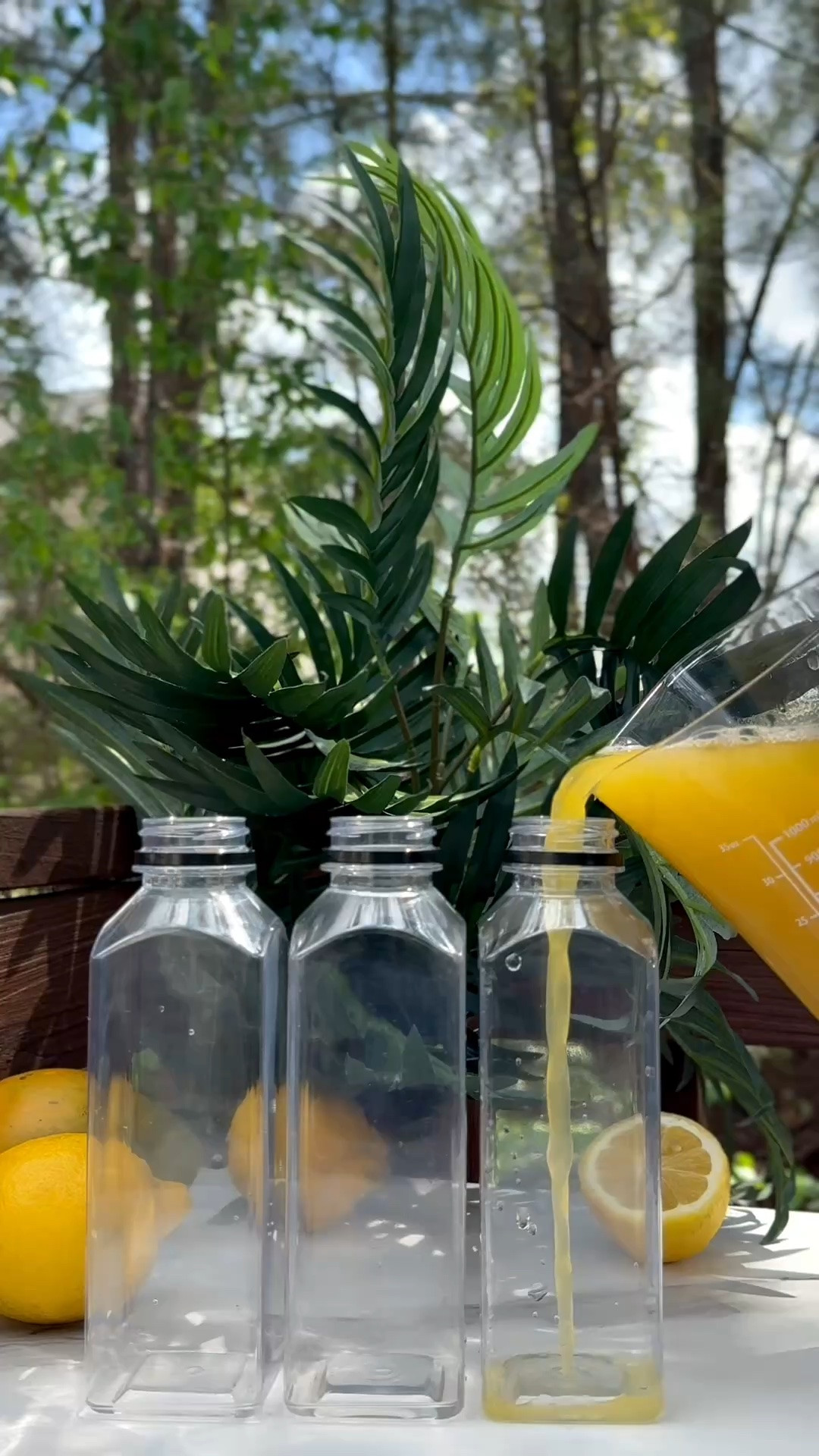 The LIFE CHANGING juicer! 🍎🥒✨

Give the gift that will change YOUR life and your family’s life! Fresh juice, more fruits and veggies, and healthier habits made easier right at home. This is the gift that keeps on giving!

#JuicingWithPriiincesss #NamaJ2 #HealthyHabits #LTKFinds

#LTKfoodie #LTKHome #LTKselfcare