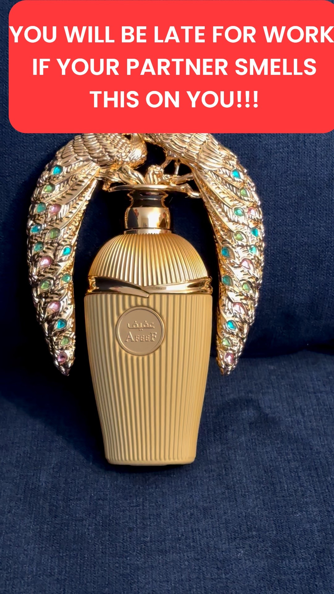 Lattafa Afeef is soft, warm, and quietly powerful and makes you irresistible! It’s also perfect for everyday elegance too!

#LTKdayinmylife #LTKstorytime