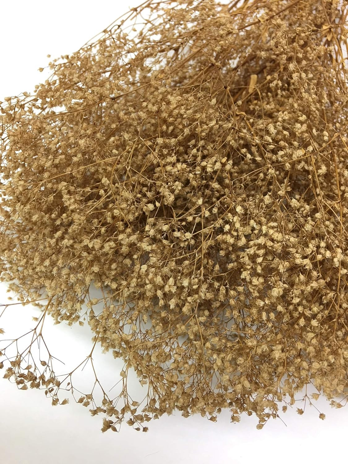 Natural Dried Babys Breath Gypsophila Natural Brown Color Home Decor | Amazon (US)