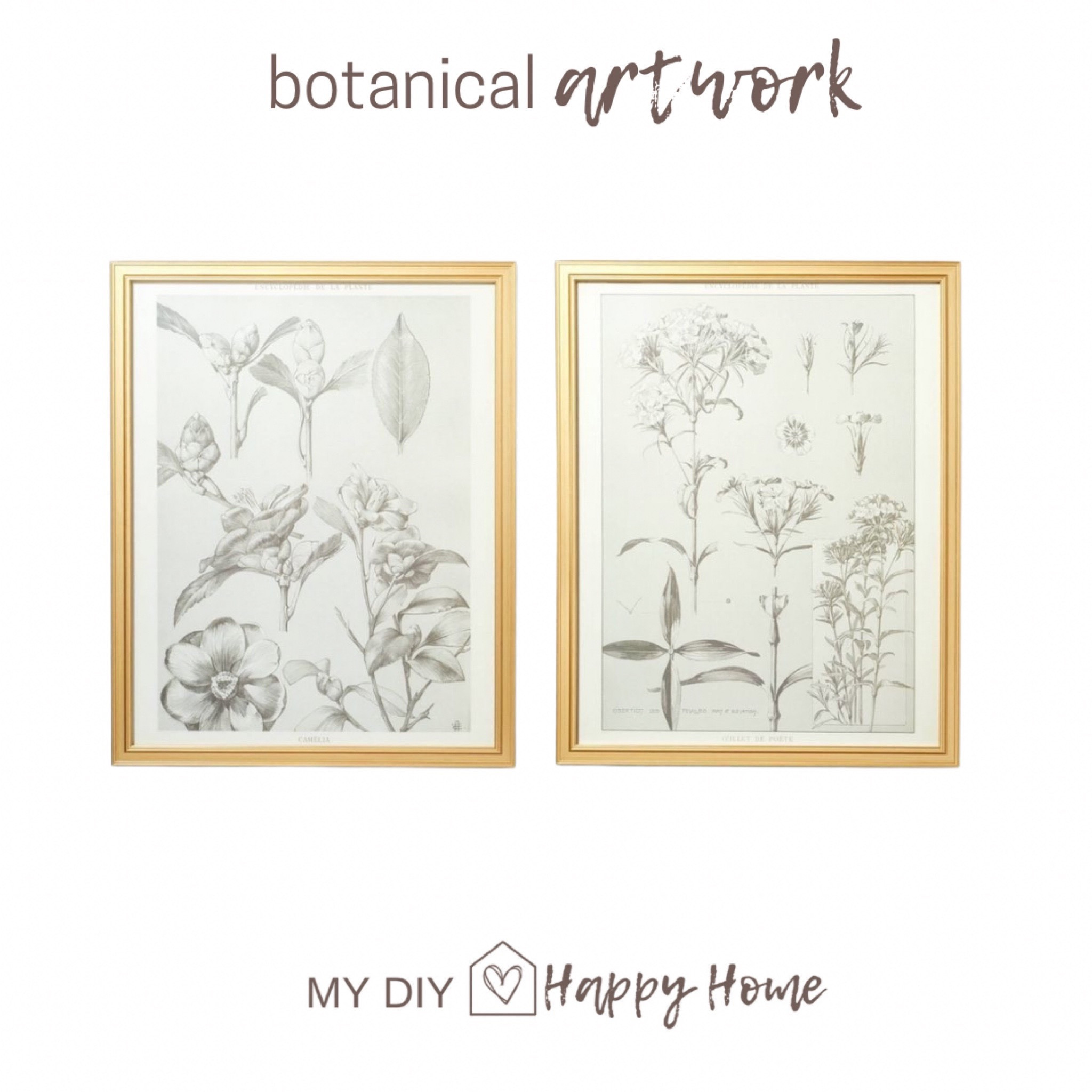 The botanical artwork in my office.
They are finally back in stock!

#LTKstyletip #LTKFind #LTKhome