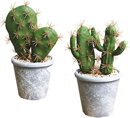 Artificial Succulent Plants Faux Cactus Decorative Faux Succulents Potted Fake Cactus Cacti with Gra | Amazon (US)