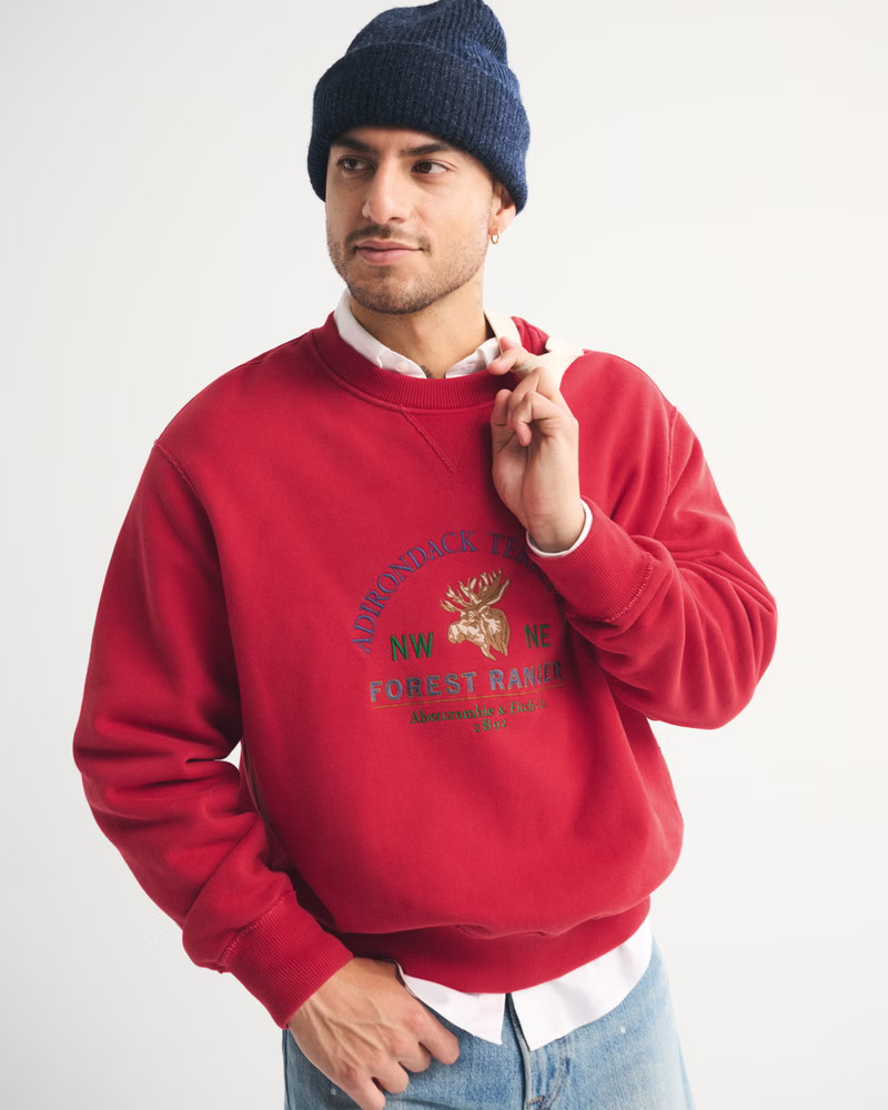 Graphic Logo Crew Sweatshirt | Abercrombie & Fitch (US)
