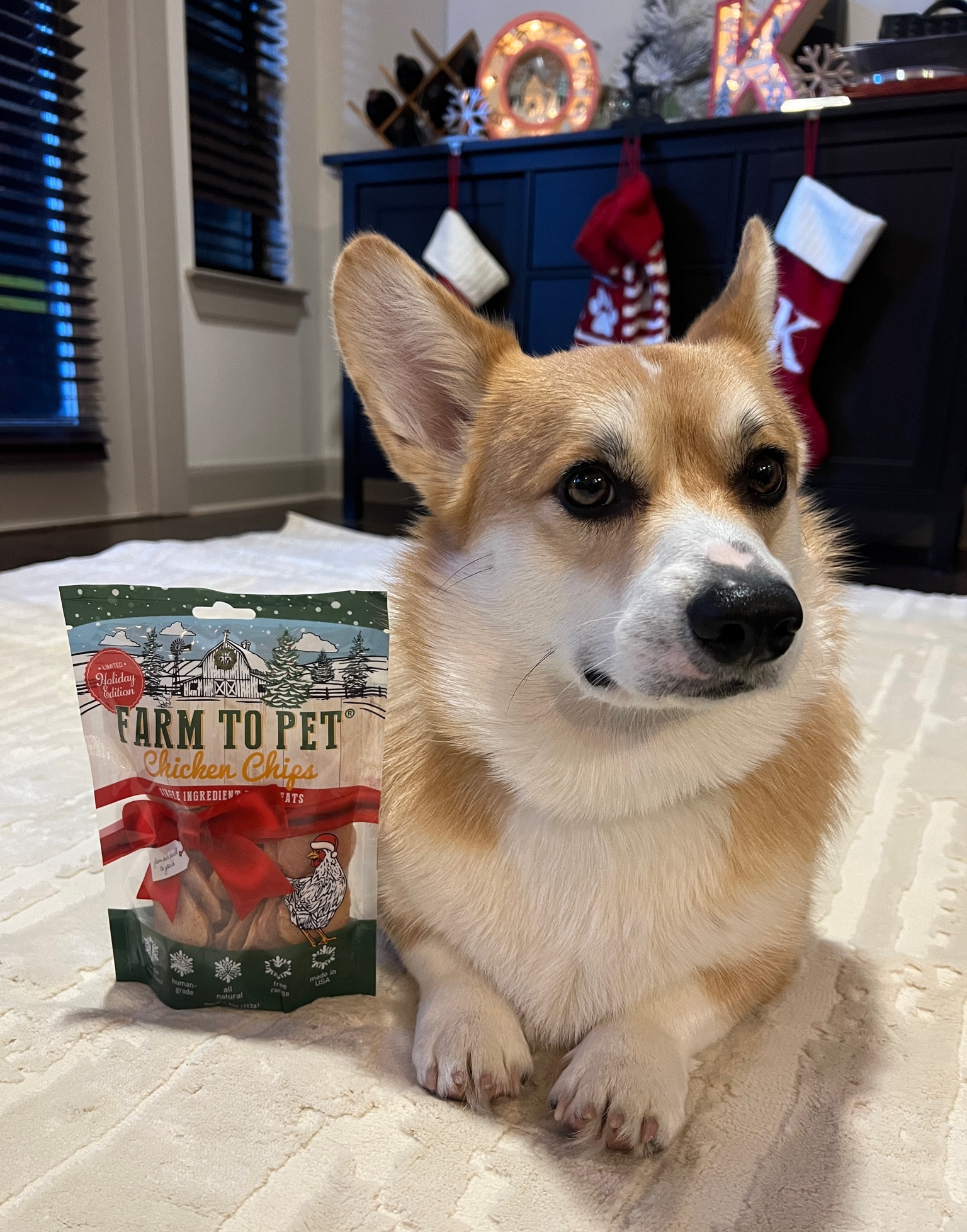 We love our Christmas treats! Farm to Pet chicken chips are super yummy and one have a single ingredient (hint: it’s chicken 🍗 )

#LTKSeasonal #LTKHoliday #LTKfindsunder50