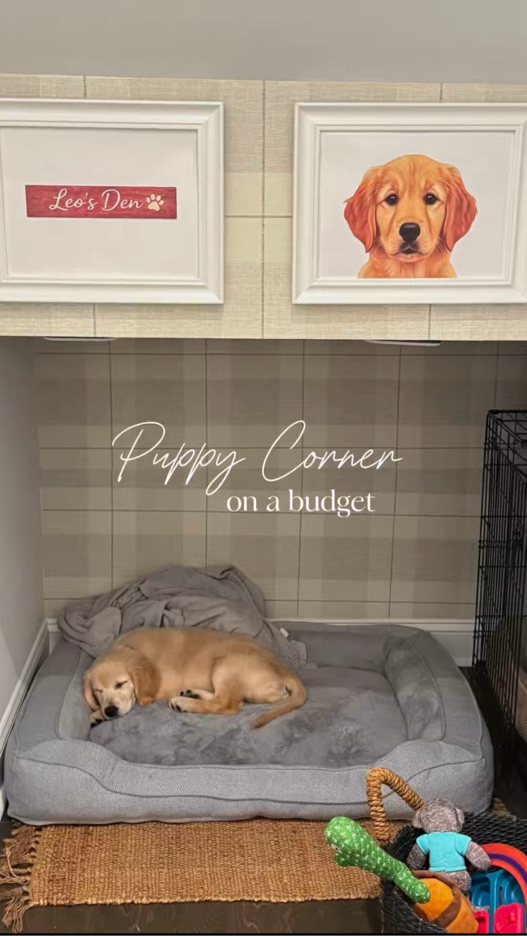 Leo’s den 🤍🐶🐾
A quick setup for our new puppy, functional, cozy, and done on a budget ✨All items are linked.

P.S: I asked ChatGPT to design and create the signs for the frames 🤍

#puppylove #dogsofinstagram #petssupplies #foryou