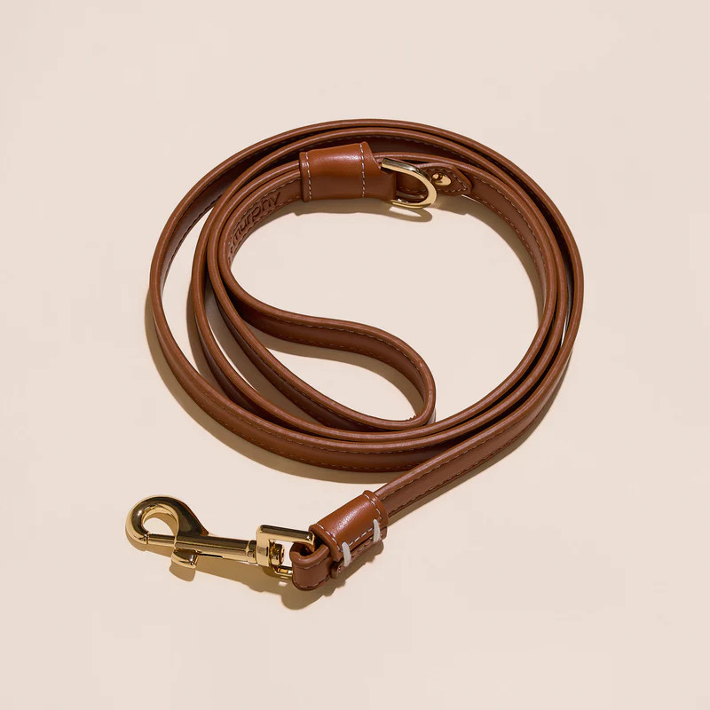 Brown Leather Leash | Reese + Murphy LLC