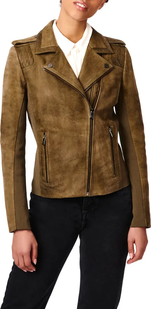 Bernardo Suede Moto Jacket | Nordstrom | Nordstrom