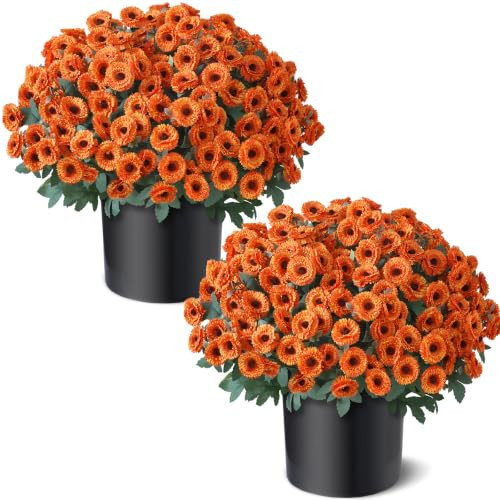 2Pcs Fall Artificial Daisy Flower Topiary Ball Tree for Front Porch(Orange) | Amazon (US)