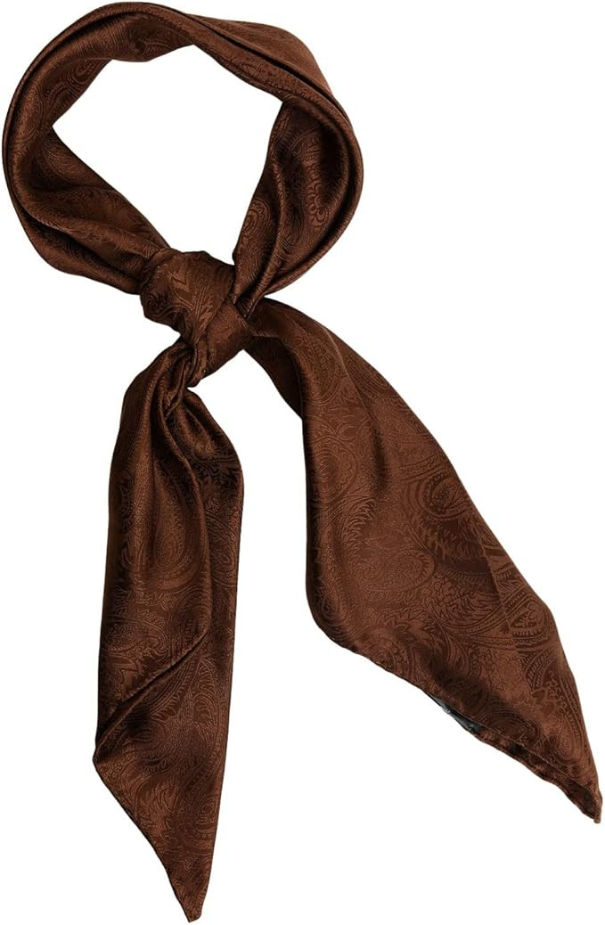 Cody James Men's Silk Wild Rag Scarf - Cjaho21bn4 | Amazon (US)