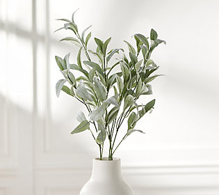 Set of 3 38"" Eucalyptus Stems by Lauren McBride | QVC