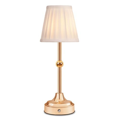 EJFOIEJ Portable LED Table Lamp, 3-Levels Brightness Metal Desk Lamp, 3 Color Touch Control Rechargeable Lamp, Night Light, Bedside Lamp,Dining Room Lamp | Amazon (US)