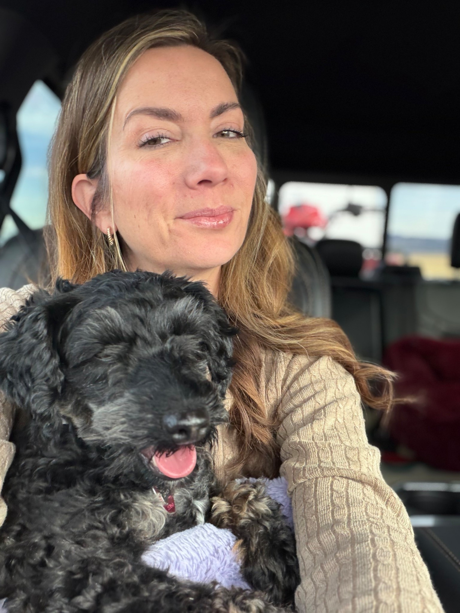 Cody doesn’t mind traveling as long as hold him and he gets to snuggle in my minky  

#LTKGiftGuide #LTKHoliday #LTKmomlife