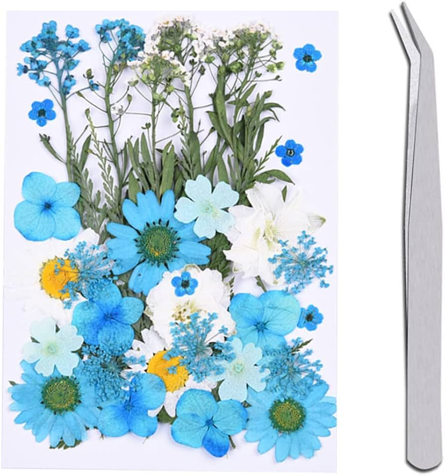 Marca: WJIAEER | Amazon (IT)