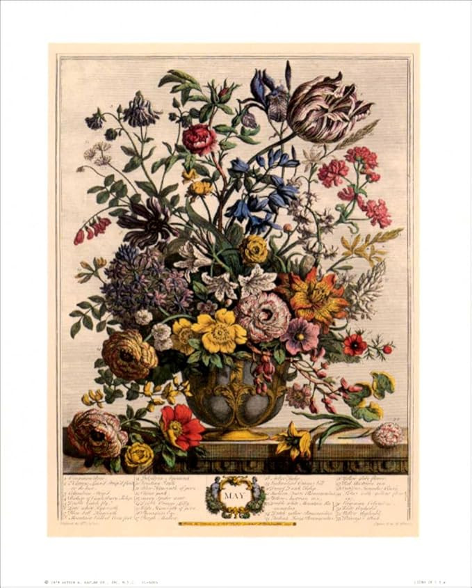 Flowers of the Month - May - Art Print Size 8x10 inches Artist is Famous Robert Furber Unframed 8... | Amazon (US)