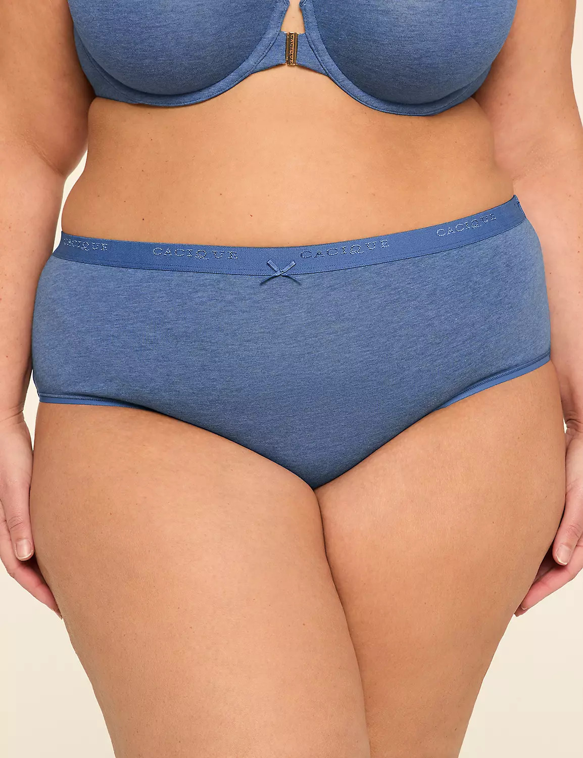 Cotton Cheeky Brief Panty | Lane Bryant (US)