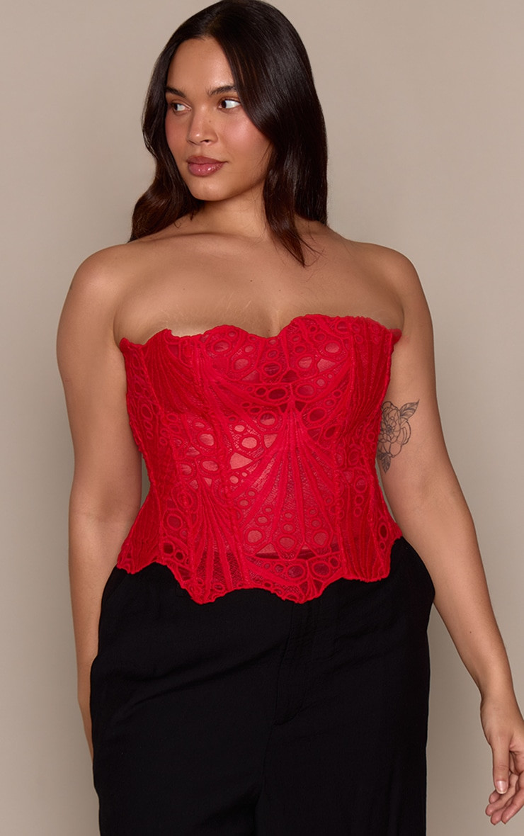 Plus Red Textured Sheer Floral Lace Corset | PrettyLittleThing US