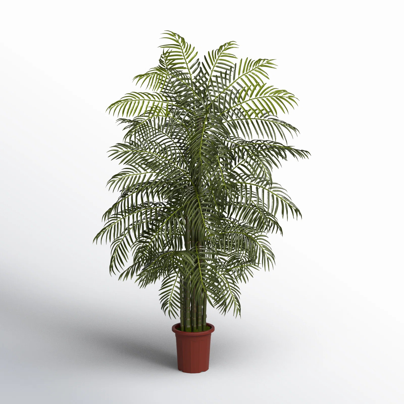 7.5ft. Areca Palm Tree UV Resistant (Indoor/Outdoor) | Birch Lane