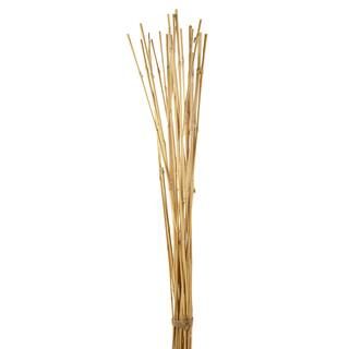 Ashland® Burned Bamboo | Michaels Stores