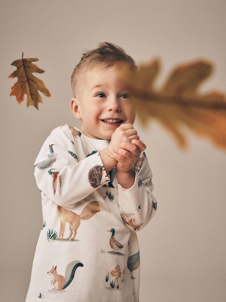 Cream/White Woodland Aminals Long Sleeve All Over Print T-Shirt (3mths-7yrs) | Next US