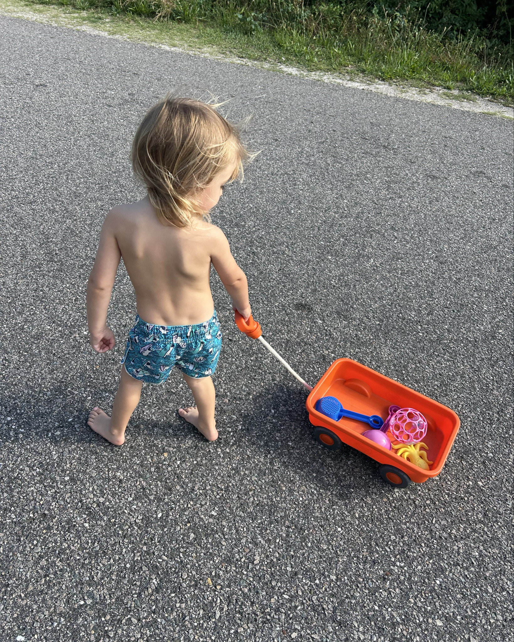 KIDS MINI BEACH WAGON

#LTKKids #LTKFamily #LTKBaby
