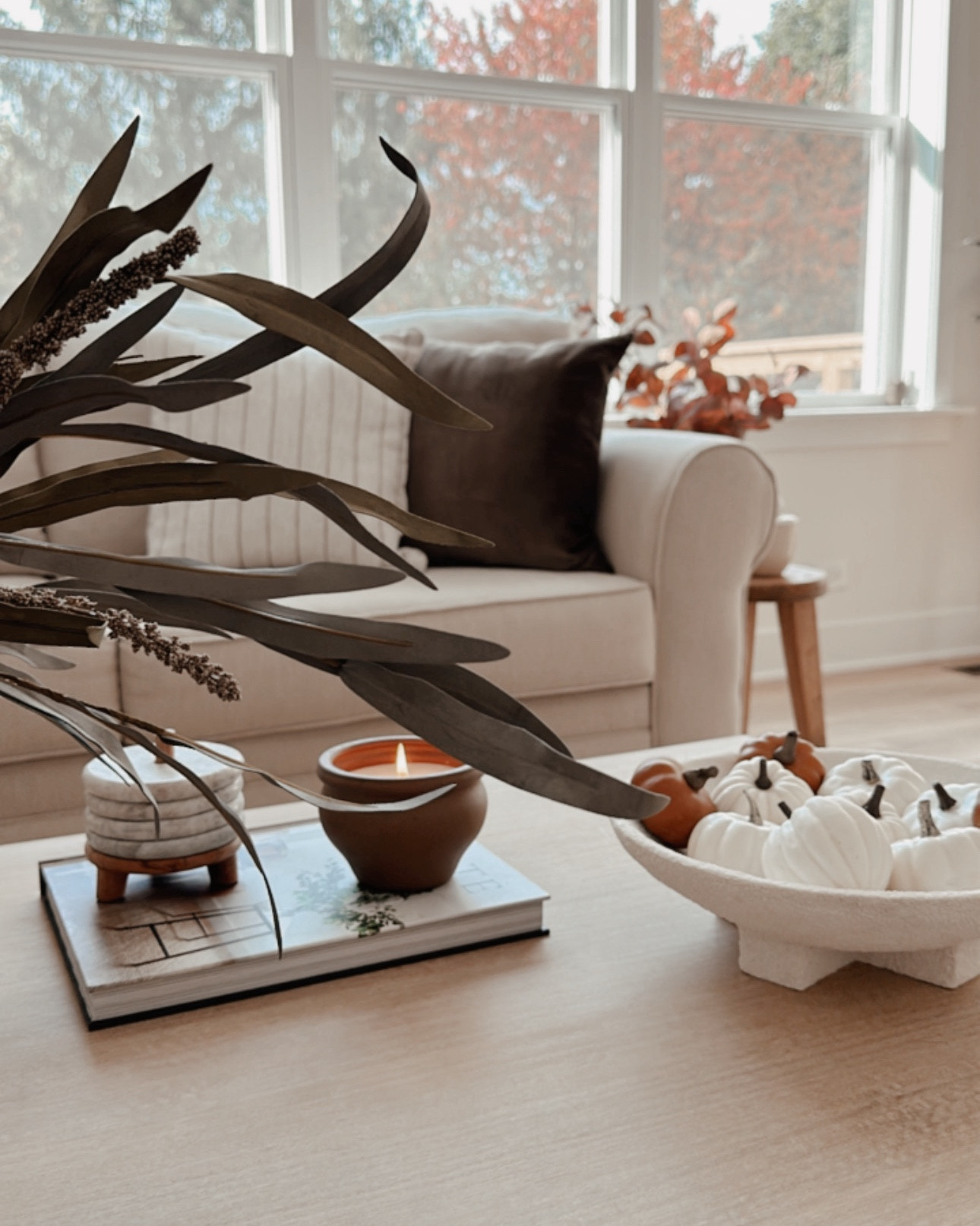 🤎🤎🤎

#LTKFallSale #LTKSeasonal