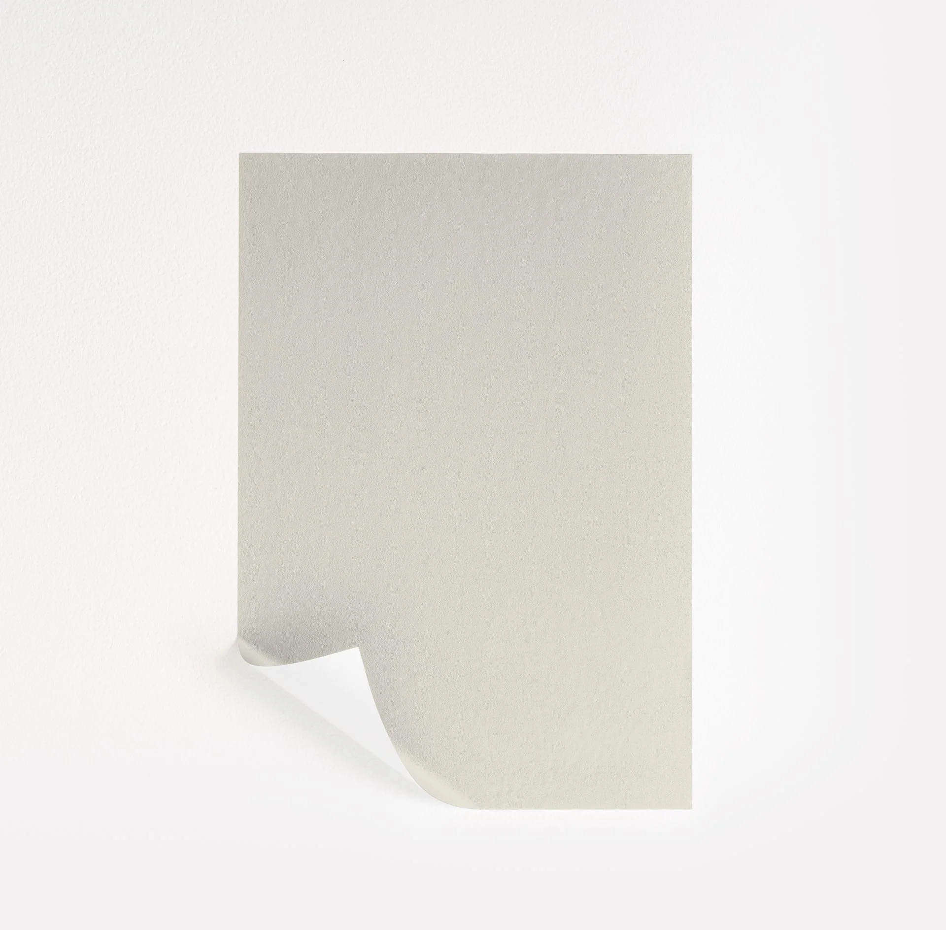 Grey Mist Paint Sample by Sherwin-Williams (9625) | Peel & Stick Paint Sample | Samplize
