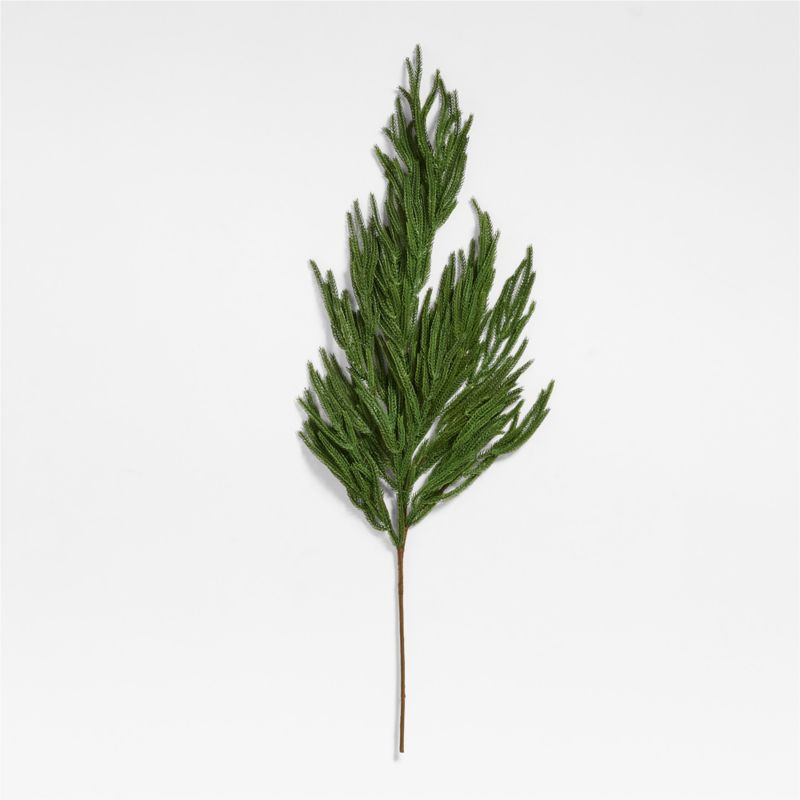 Faux Norfolk Pine Stem 45" | Crate & Barrel | Crate & Barrel