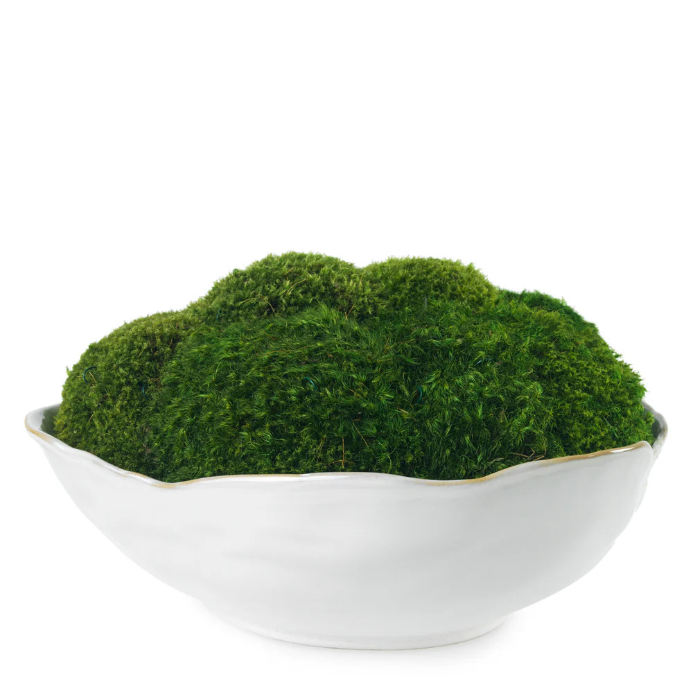 Mossy Mood | Diane James Home