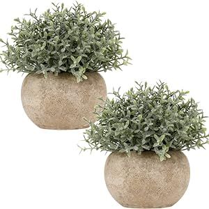 Briful Small Fake Plants Faux Potted Plant Mini Artificial Plants for for Home Table Office Room ... | Amazon (US)