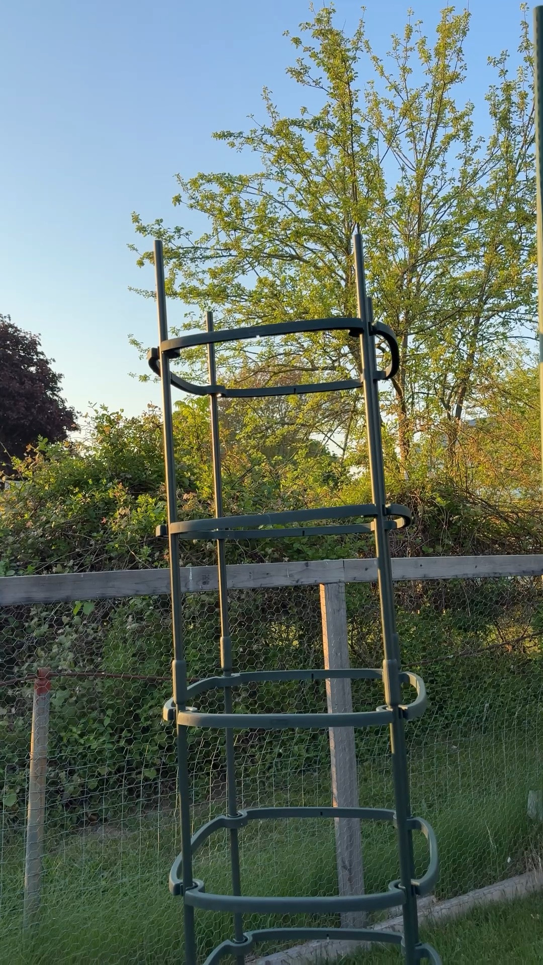 Found the perfect tomato plant mansion! My tomatoes were tall and so full last year, they quickly took over the garden. These are going to be perfect as they grow!

#LTKSeasonal #LTKHome #LTKmomlife