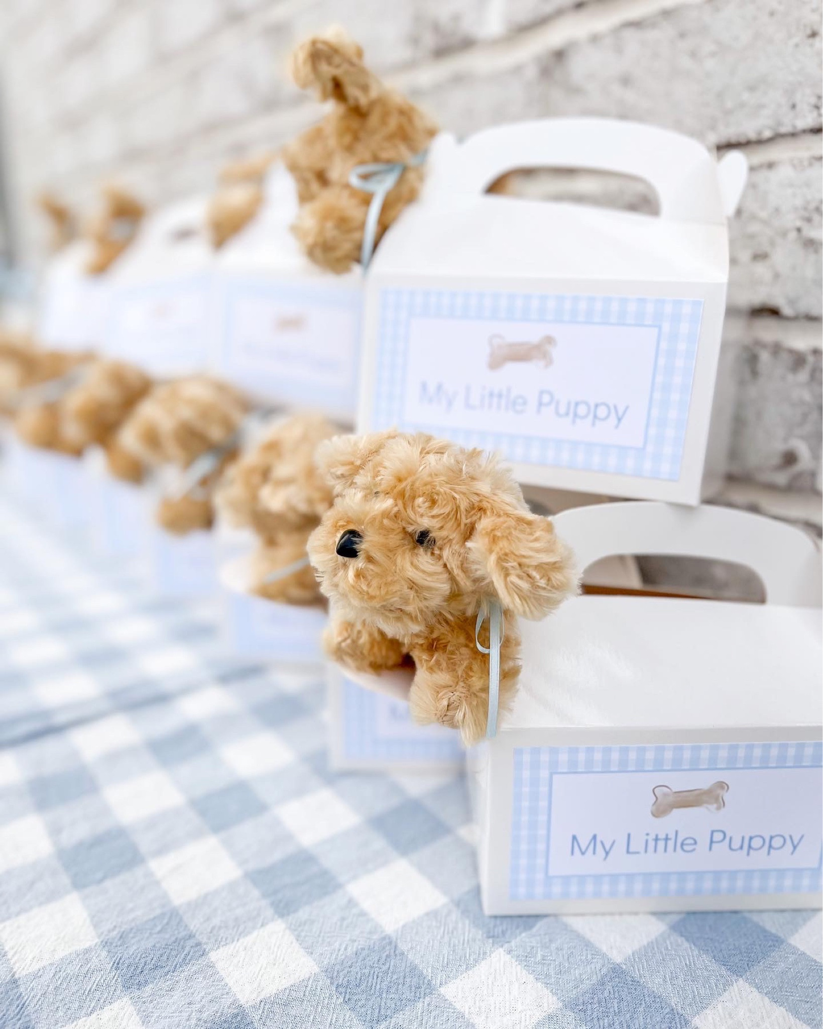 My little puppy favor boxes with puppies they can take home! I had a make your own collar station right next to these too, along with temporary puppy tattoos & custom coloring sheets by @creativelyKaty 🐾🐶 #puppyparty #firstbirthday

#LTKbaby #LTKfamily #LTKparties