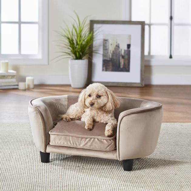 Enchanted Home Pet Coco Sofa Cat & Dog Bed w/Removable Cover | Chewy.com