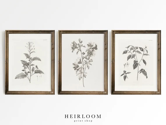 Botanical Print Set  Above the Bed Art  MAILED ART PRINTS  | Etsy | Etsy (US)