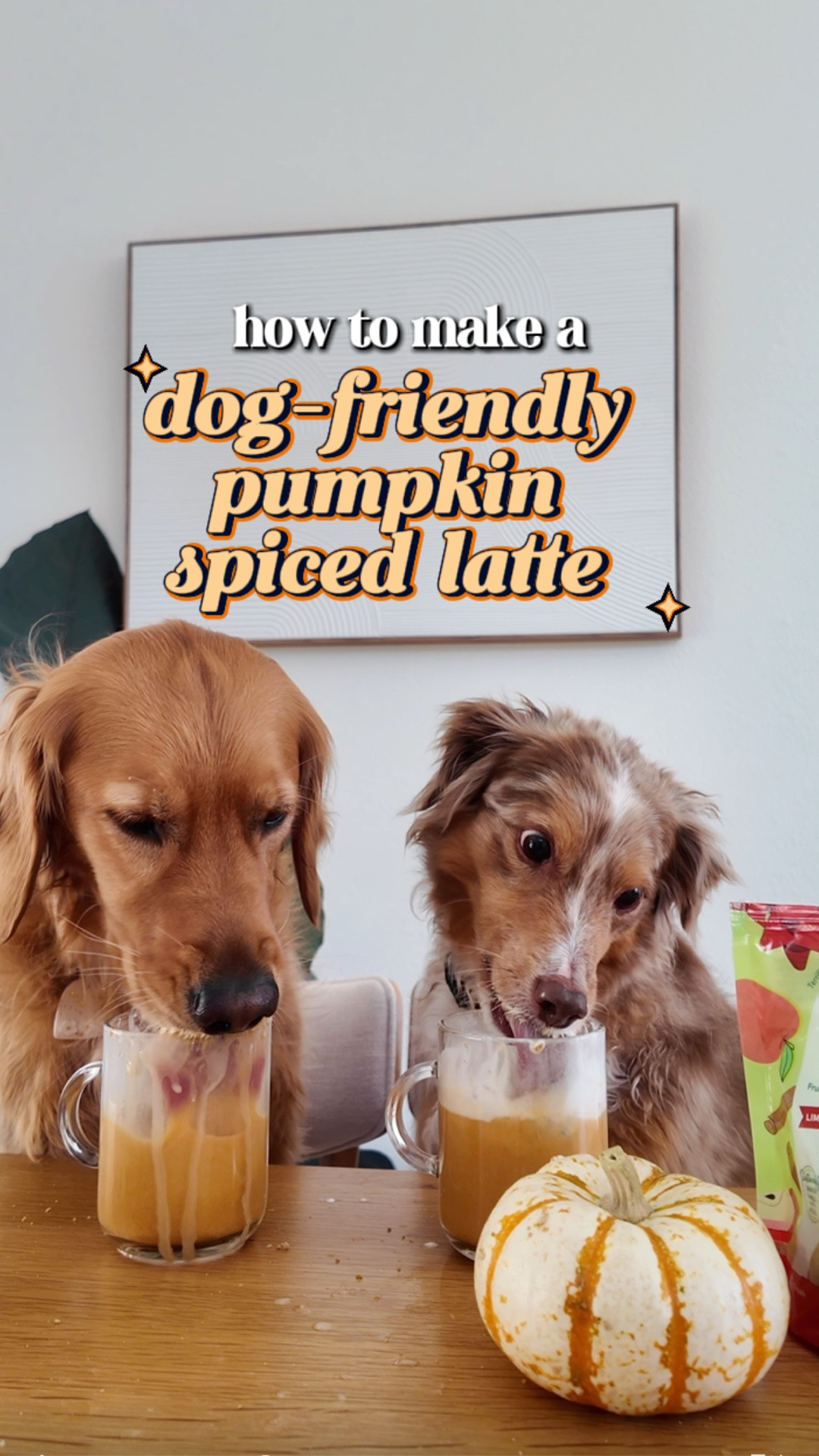🎃🐾 Dog-Friendly Pumpkin Latte Recipe!
 Your pup deserves a fall treat too 🍂☕️

Recipe:
 ✨ ⅓ cup bone broth
 ✨ ⅓ cup goat milk
 ✨ ⅓ cup pumpkin purée

 Blend it all together and top with a little whipped cream. Finish it off with crushed @honest2goodnesspets Howliday Treats for the perfect healthy, festive garnish! 🤎

#HonestToGoodness #HealthyDogTreats #PlantBased #DogLatte #DogTreatRecipe #PumpkinSeason #DogFriendlyRecipes
