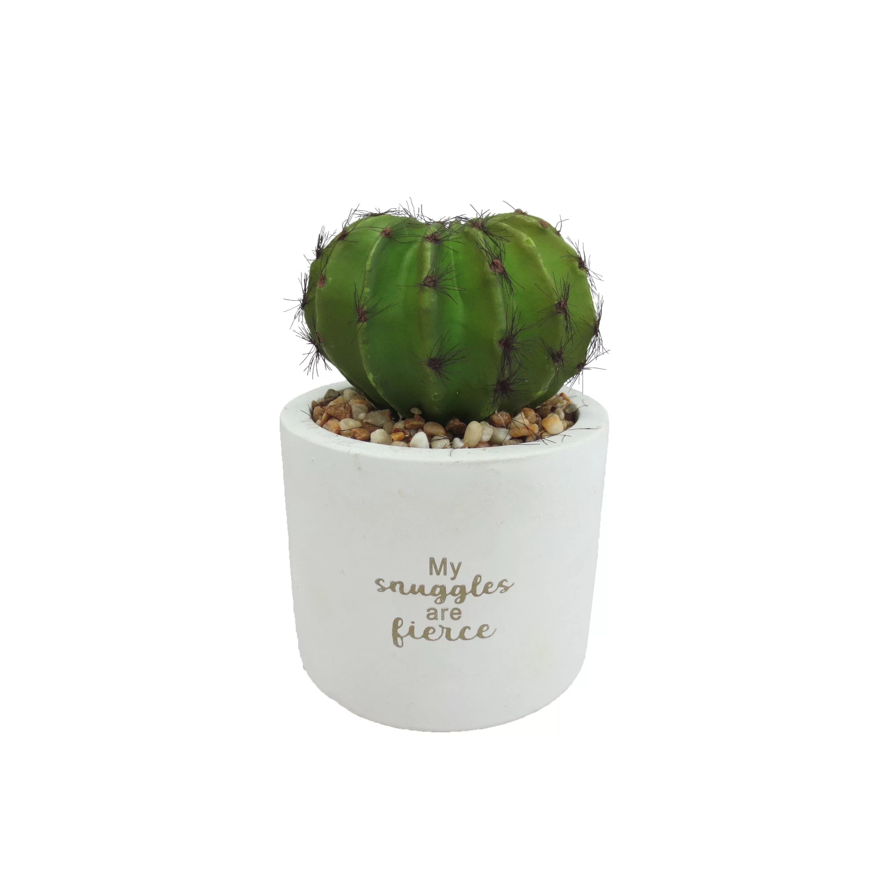 Way To Celebrate Cactus Pot Tt. - Walmart.com | Walmart (US)