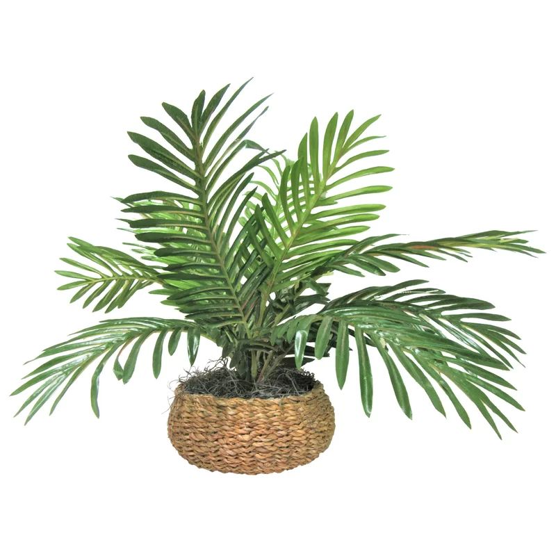 11" Artificial Palm Plant in Basket | Wayfair North America