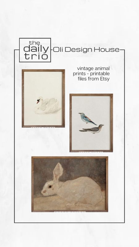 The daily trio…

Vintage animal print art. Digital download, printable images for under $5

#LTKunder50 #LTKFind #LTKhome