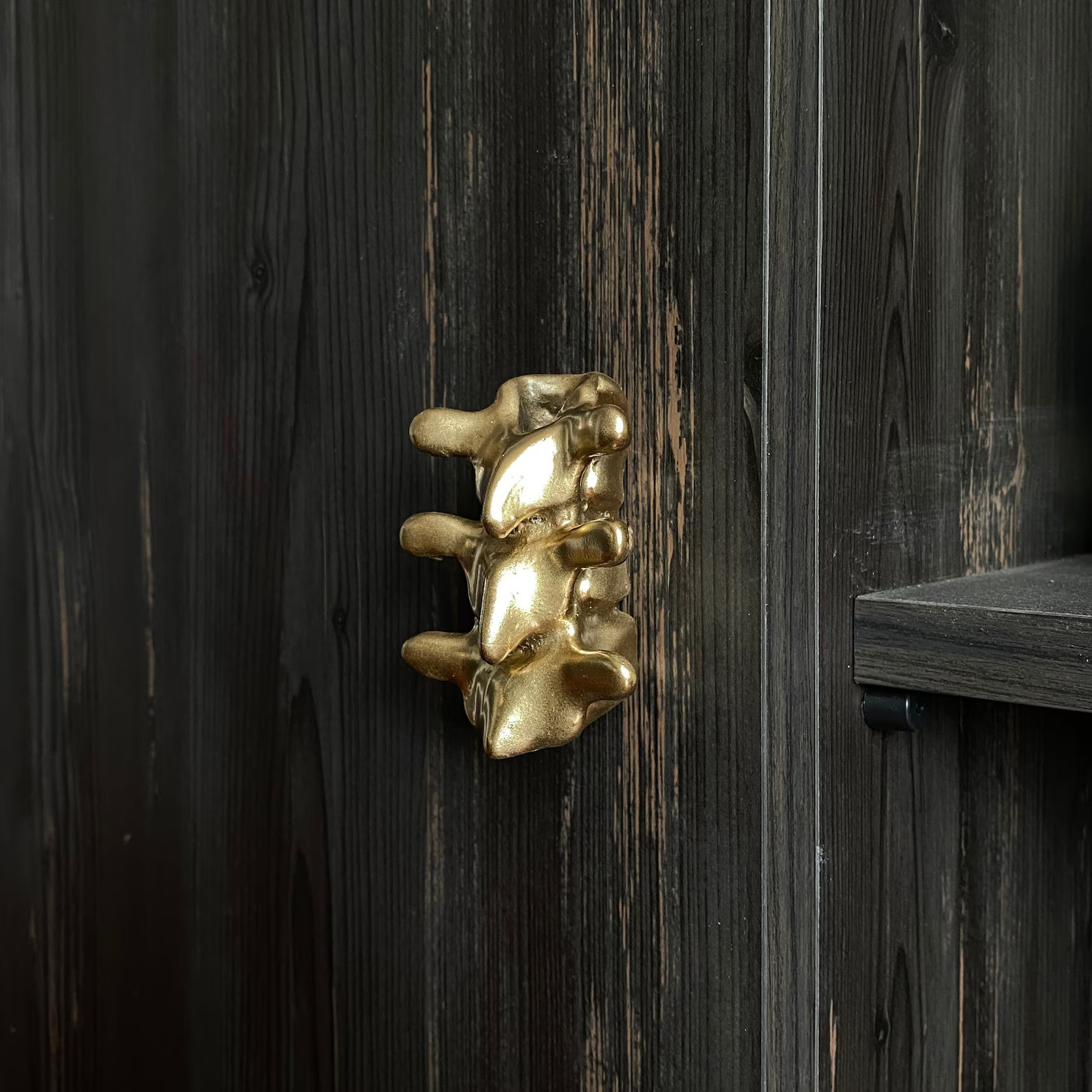 Spine Cabinet Wardrobe Door Knobs, Modern Drawer Knob Handles, Skeleton Furniture Knobs, Kitchen ... | Etsy (US)