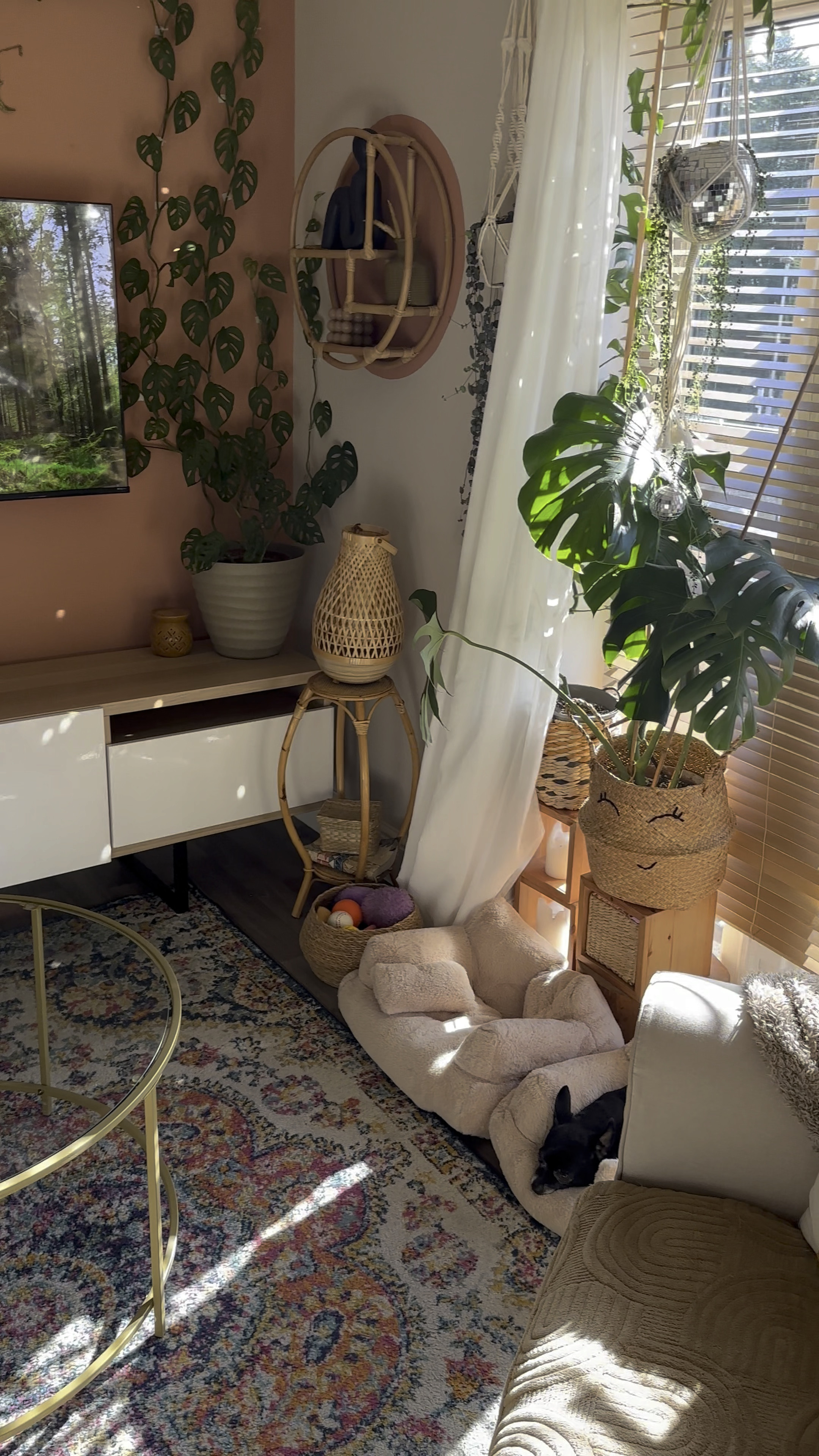 I’m in love with that rainbow 🫶🏻

#apartmenttherapy #sundayreset #asmr #apartmentdecor #cleaningmotivation #satisfying #instaclean #weeklyreset #cleanwithme

#LTKhome #LTKVideo