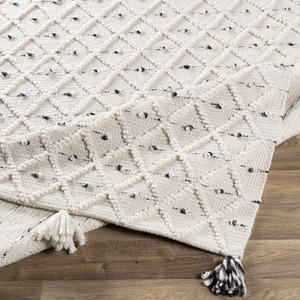 Sadleir Flatweave Performance Rug | Boutique Rugs