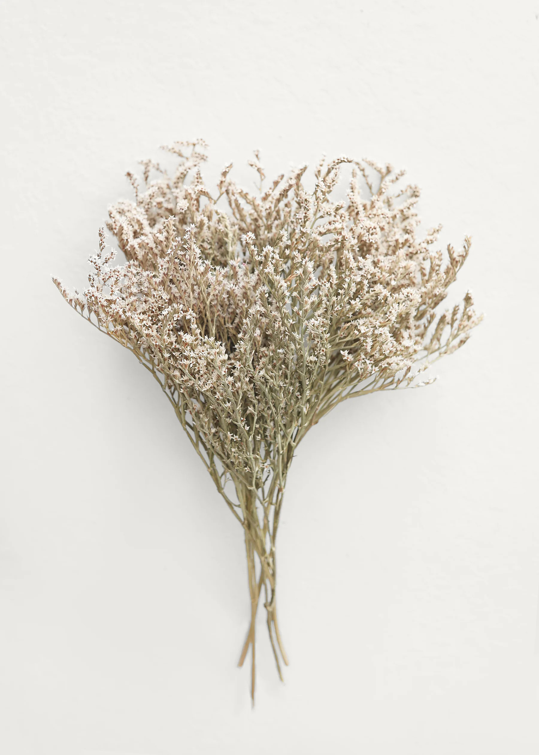 Natural German Statice | Dried Flowers at Afloral.com | Afloral